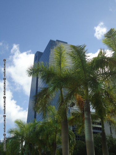 Prediões e palmeiras: uma constante em Downtown