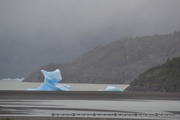Um teco de gelo às margens do Lago Grey