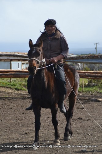 ... e aprendizado sobre montaria e cavalos domados no Cerro Dorotea