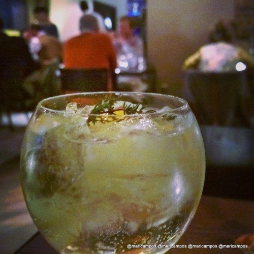 A gin tonic do Salt Room, um dos melhores drinks da viagem